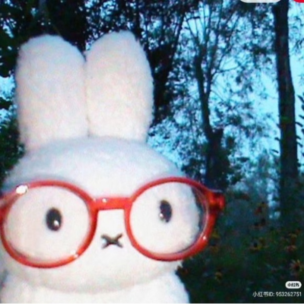 Meet your Posher, Bun